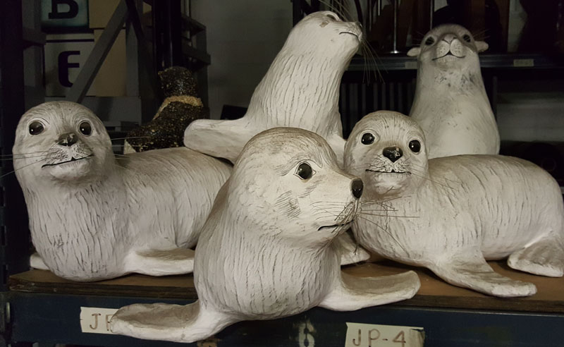 White Seals